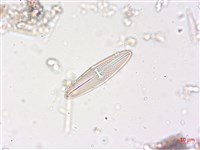 登錄號:A00004508藏品圖，第6張
