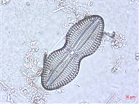 登錄號:A00004509藏品圖，第3張