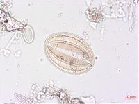 登錄號:A00004510藏品圖，第4張