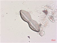 登錄號:A00004510藏品圖，第5張