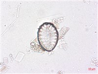 登錄號:A00004511藏品圖，第5張