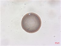 登錄號:A00004512藏品圖，第3張