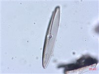 登錄號:A00004513藏品圖，第4張