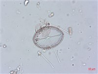 登錄號:A00004513藏品圖，第5張