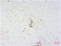 登錄號:A00004514藏品圖，第2張