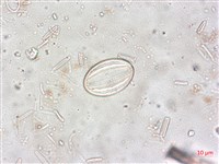 登錄號:A00004514藏品圖，第4張