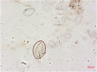 登錄號:A00004514藏品圖，第5張