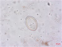登錄號:A00004515藏品圖，第3張