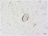 登錄號:A00004515藏品圖，第4張
