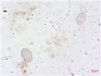 登錄號:A00004516藏品圖，第5張