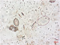 登錄號:A00004517藏品圖，第4張