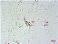 登錄號:A00004518藏品圖，第2張