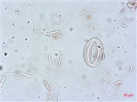 登錄號:A00004518藏品圖，第4張