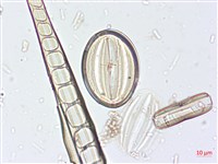 登錄號:A00004519藏品圖，第5張