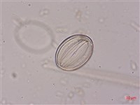 登錄號:A00004521藏品圖，第4張