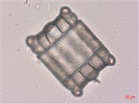 登錄號:A00004522藏品圖，第3張