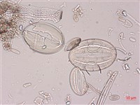 登錄號:A00004522藏品圖，第6張