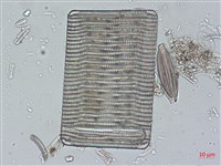 登錄號:A00004523藏品圖，第3張