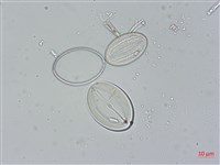 登錄號:A00004523藏品圖，第5張