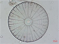 登錄號:A00004524藏品圖，第3張
