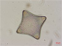 登錄號:A00004526藏品圖，第3張