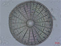 登錄號:A00004528藏品圖，第4張