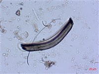登錄號:A00004530藏品圖，第5張