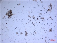 登錄號:A00004531藏品圖，第2張
