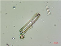 登錄號:A00004531藏品圖，第7張