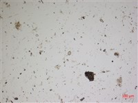 登錄號:A00004532藏品圖，第2張