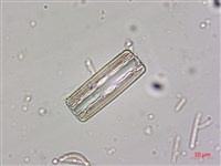 登錄號:A00004532藏品圖，第6張