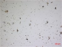 登錄號:A00004533藏品圖，第2張