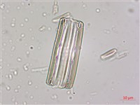 登錄號:A00004533藏品圖，第4張