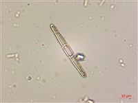 登錄號:A00004533藏品圖，第6張