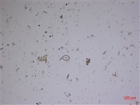 登錄號:A00004534藏品圖，第2張