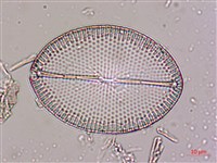登錄號:A00004534藏品圖，第3張