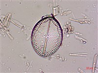 登錄號:A00004534藏品圖，第4張
