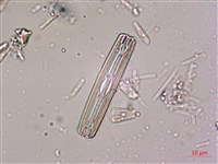 登錄號:A00004534藏品圖，第7張