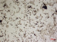 登錄號:A00004536藏品圖，第2張