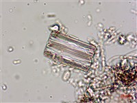 登錄號:A00004537藏品圖，第4張