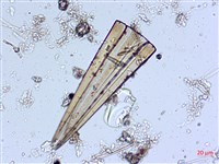 登錄號:A00004538藏品圖，第3張