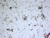 登錄號:A00004540藏品圖，第2張