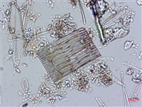 登錄號:A00004540藏品圖，第6張