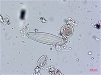 登錄號:A00004540藏品圖，第7張
