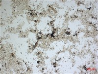 登錄號:A00004541藏品圖，第2張
