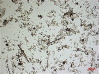 登錄號:A00004542藏品圖，第2張