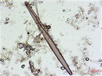 登錄號:A00004542藏品圖，第3張