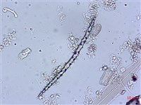 登錄號:A00004543藏品圖，第3張