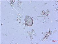 登錄號:A00004545藏品圖，第5張