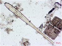 登錄號:A00004546藏品圖，第8張